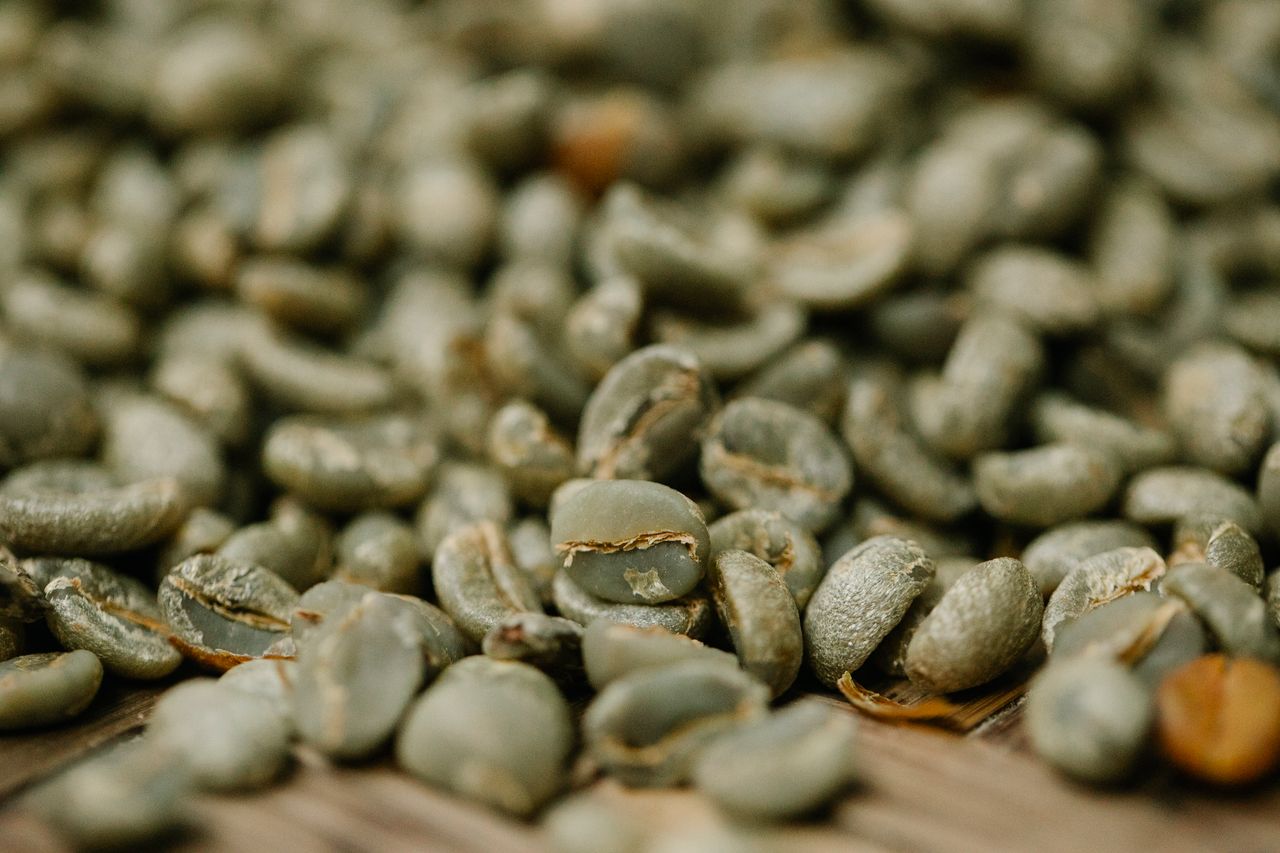 Closeup of pile of unroasted coffee bean halves with pleasant aroma drying on bamboo surface